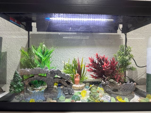 Acuario grande con luz