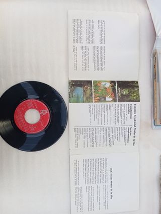 Vinilo Molino de la Hoz - Pop Rock Español