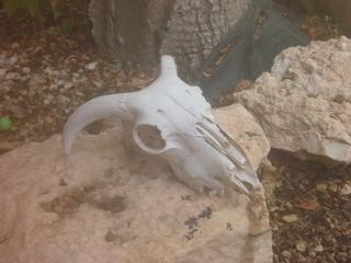 Panasonic Lumix DMC-TS2