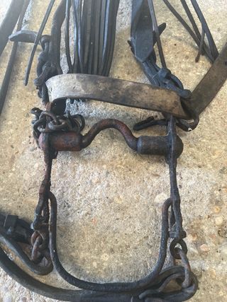 Cabezada completa para caballo