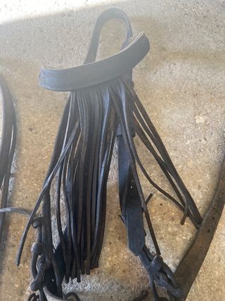 Cabezada completa para caballo