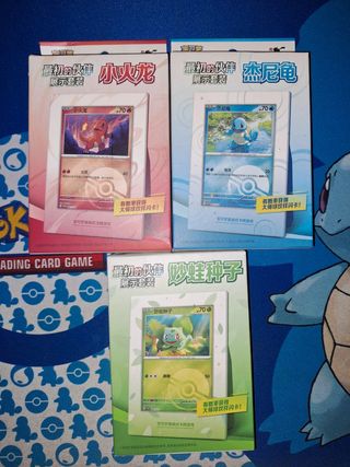 151 First Partner Display