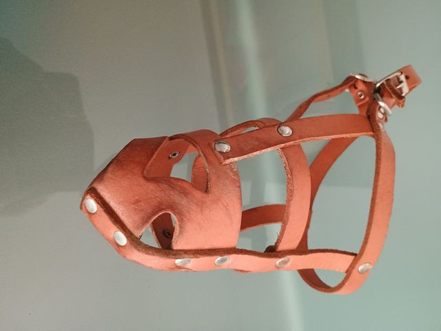 Bozal de cuero para perro