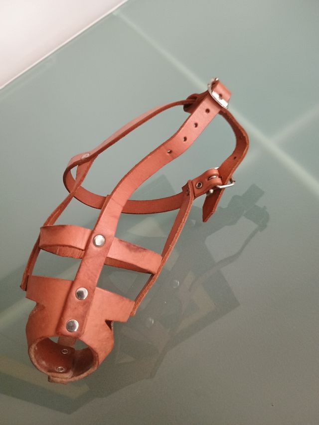 Bozal de cuero para perro