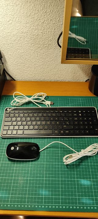 Teclado y Ratón HP original con Cable