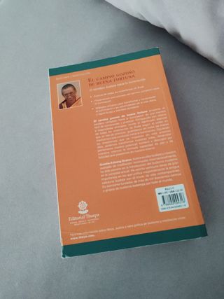 Camino gozoso de buena fortuna. 