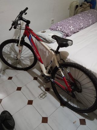 Bicicleta de ciudad