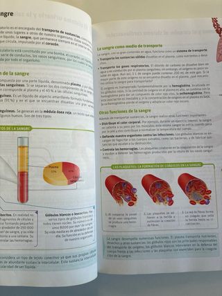 Biología y geología, Arce. 3 ESO. Savia
