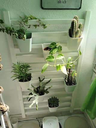 Estante colgante con 7 plantas pequeñas
