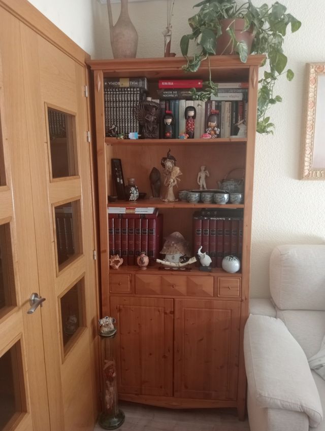 Conjunto Muebles Salón Madera