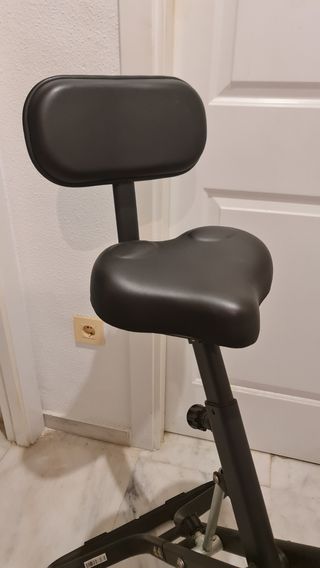 Bicicleta Estática Capital Sports Regulable