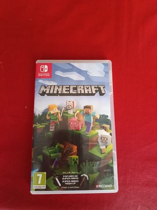 Minecraft Nintendo Switch