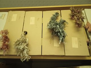 Flecos lana y algodón rizado 2€/mt