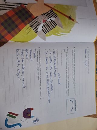 Lote 3 cuadernos Lengua 3 Anaya