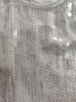 Top lentejuelas Zara plateado
