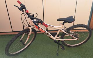 Bicicleta Freerider 24 pulgadas