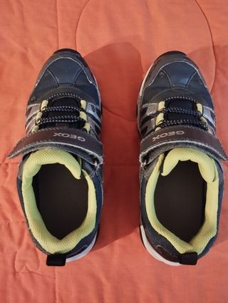 Zapatos Geox Talla 36