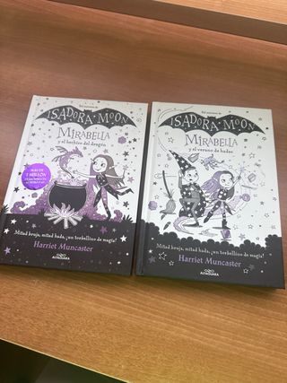 el hechizo del dragón y el verano de hadas 