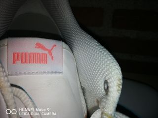 Zapatillas Puma Blancas y Rosas Talla 42