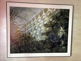 Cuadro Decorativo Naturaleza