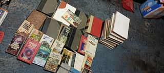 Lote de libros variados