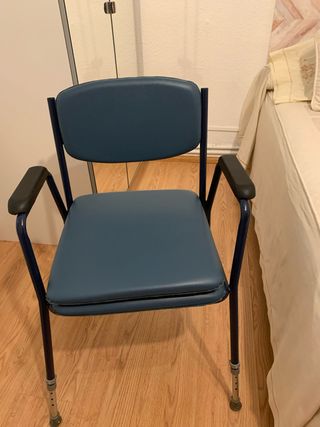 silla orinal