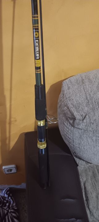 Caña de pescar Daiwa