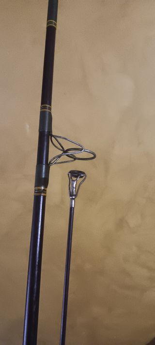 Caña de pescar Daiwa