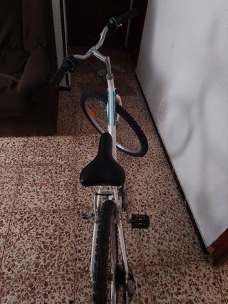 Bicicleta blanca