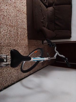 Bicicleta blanca