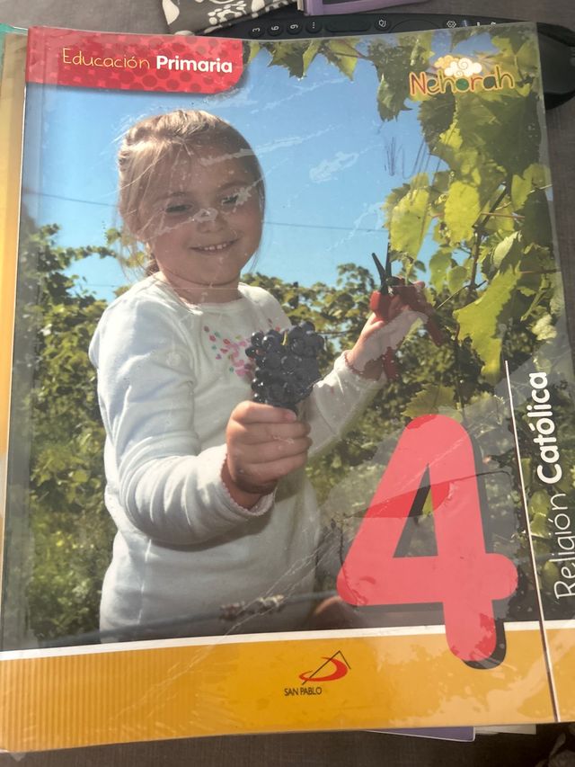 Proyecto Nehorah - Religión Católica 4 - Educac...