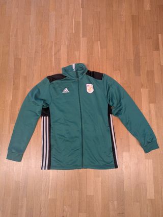 Chaqueta Adidas Chándal Árbitro Verde