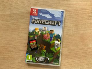 Minecraft Nintendo Switch