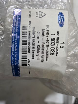 Rejilla Radiador Ford Focus RS MK2