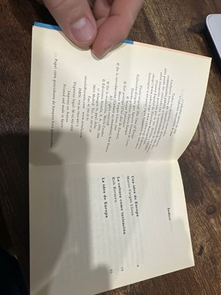 La idea de Europa (Spanish Edition)