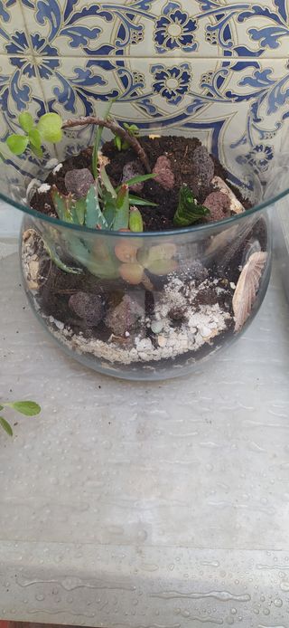 Terrario original a mano