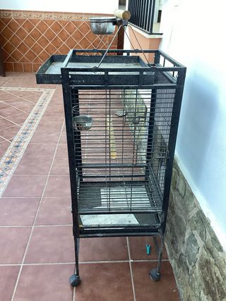Jaula para loros negra
