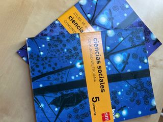 Ciencias sociales. 5 Primaria. Savia