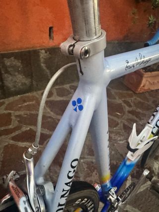 Colnago Dream Mapei 