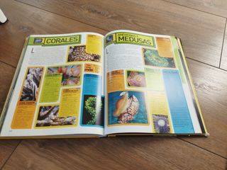 Enciclopedia de los animales