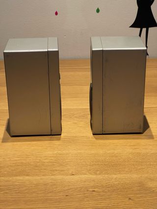 Altavoces Technics SB-F1 Plata