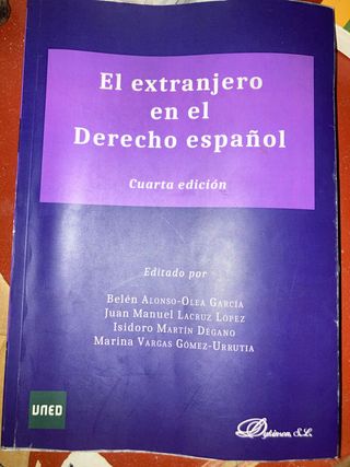 El extranjero en el Derecho español