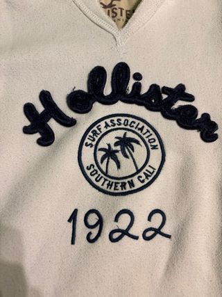Sudadera Hollister con capucha