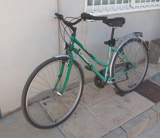 Bicicleta Orbea Paseo Verde