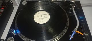 Vinilo Walking Flowers - A Lover Spurned