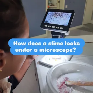 NENOTIC Tallers de ciència per nens de 4 a 12 anys