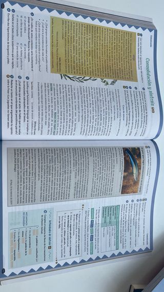 Lengua Castellana y Literatura 3º ESO. Libro de...