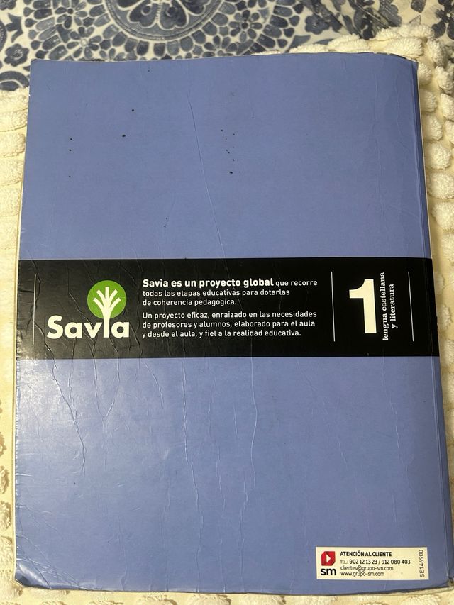 Lengua castellana y literatura. 1 Bachillerato....