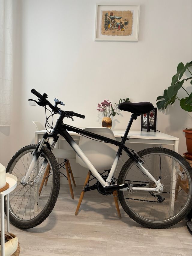 Bicicleta de Montaña 26