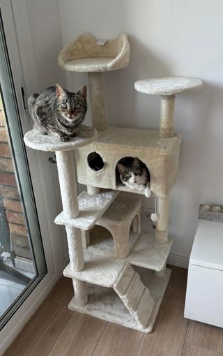 Árbol rascador grande para gatos
